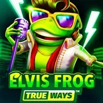 Login No Spins Royale Casino